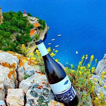 Studio-apartman-diana * Brseč