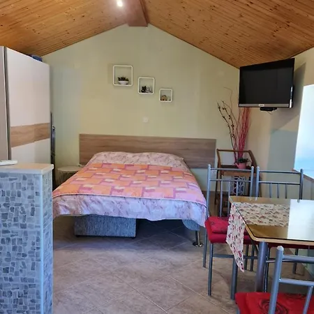 Studio-apartman-diana * Brseč