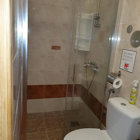 Studio-apartman-diana Appartement *